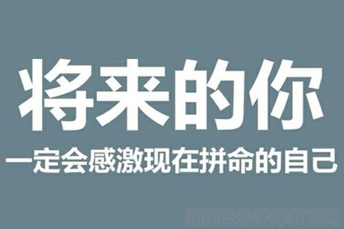 天津成人高考 專業(yè)選擇