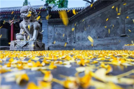 天津體育學院成人高考怎么報名？