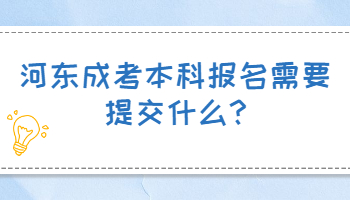 河?xùn)|成考本科報(bào)名需要提交什么